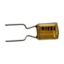 Capacitor Poliéster 12K x 50V = R123J